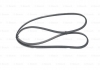 1987947878 Bosch Ремінь поліклиновий (фото 2)