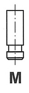 R6175/SNT Freccia Клапан впускной