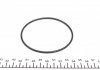 530 0358 31 INA  Водяной насос + комплект зубчатого ремня CHEVROLET CAPTIVA (C100, C140), 06/06 - 2.4 (Пр-во INA) (фото 7)