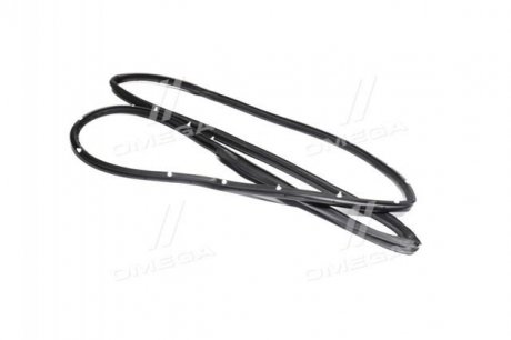 Ущільнювач дверей (вир-во GM) 96460191