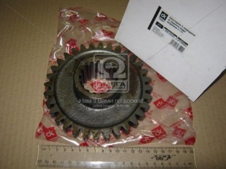 Шестерня 1-пер. і задн. ходу ведена МТЗ, Z = 32 <ДК> Ф50-1701224