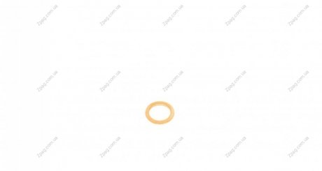 417005900 Victor Reinz Уплотнительное кольцо, резьбовая пр; Уплотняющее к