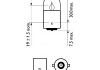 12821CP PHILIPS Лампа розжарювання R5W12V 5W BA15s (вир-во Philips) (фото 3)