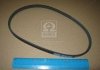 3PK683 DONGIL  Ремень поликлин. 3PK683 Mazda (пр-во DONGIL) (фото 2)