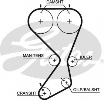 5556XS Gates Ремень зубч. ГРМ Z=173 (пр-во Gates)