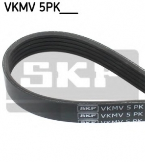 VKMV5PK1135 SKF Ремінь поліклін. (Вир-во SKF)