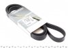 6PK1740HD Dayco Ремень поликлиновой Dayco (фото 1)