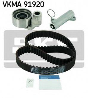 VKMA 91920 SKF Роликовий модуль натягувача ременя (ролик, ремінь)