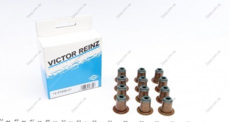 12-37256-01 Victor Reinz Комплект сальників клапанів