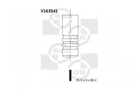 V163541 BGA  Клапан двигуна