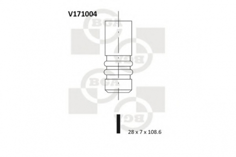 V171004 BGA  Клапан двигуна