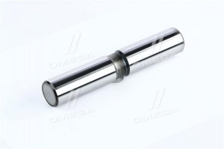 264033206707-301RD RIDER Палец шкворня Эталон, ТАТА R1 30,1 mm (RIDER)