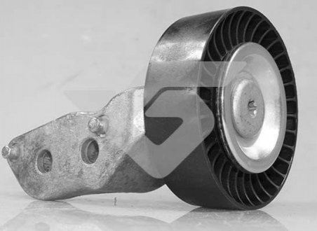 T0653 Hutchinson Ролик обводной AUDI A3, Q3, TT купе II, VW Jetta (05-18) (T0653) Hutchinson