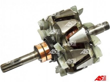 AR2013 AS  Ротор генератора