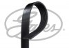 8PK2550HD Gates 6 (фото 1)