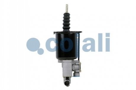 2250249 COJALI 3