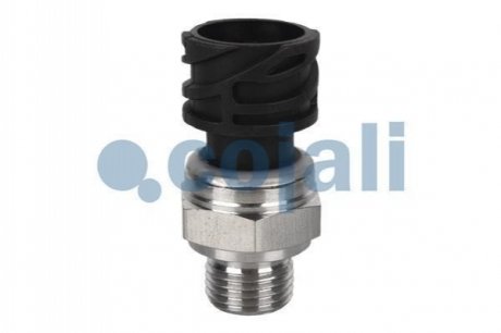 2260283 COJALI 2
