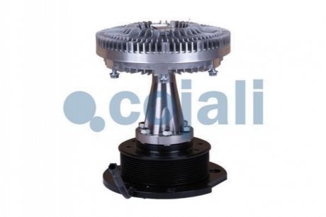 7053809 COJALI 2