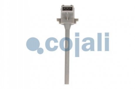 2260397 COJALI 3
