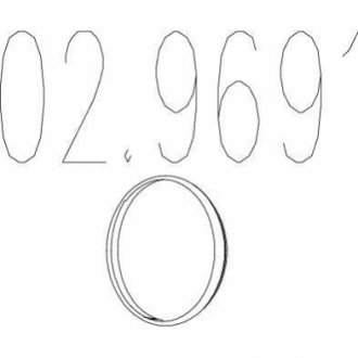 02.9691 MTS Монтажне кольцо