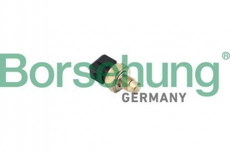 B18287 Borsehung Датчик температури (OE)