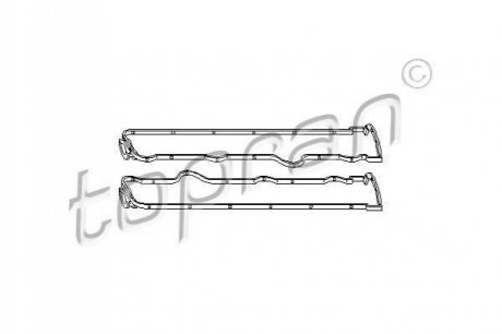 205530 Topran  Комплект прокладок