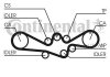 CT1050K1 Continental Комплект пасу ГРМ Subaru Impreza/Forester/Legacy/O (фото 1)