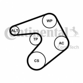 6PK1205K1 Continental Комплект (ремень+ролики)