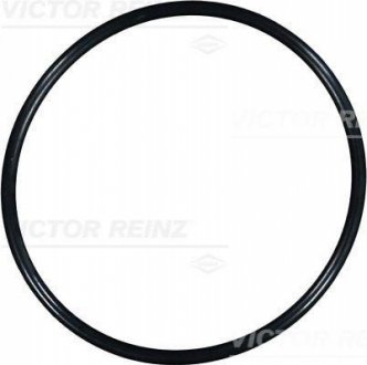 Уплотнительное кольцо 407610800