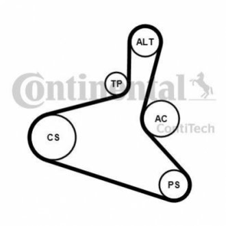 6DPK1195K1 Continental Комплект пасу поліклинового  Audi A3/Seat Leon/Sko